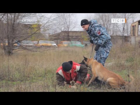 ����������� ������ ����� �������� ������� ���������� ���: ����� ����, ������� ������� ������� � ����� �����. ���� ����...