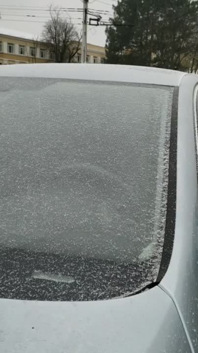 ������ ���� � ���������. ���� ������