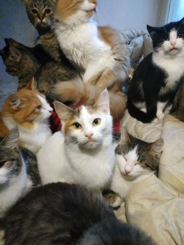 ��� �������, ��� �����������, ��� ���������� ��� �� ���������� �������� ���� �������������� ���� ����������