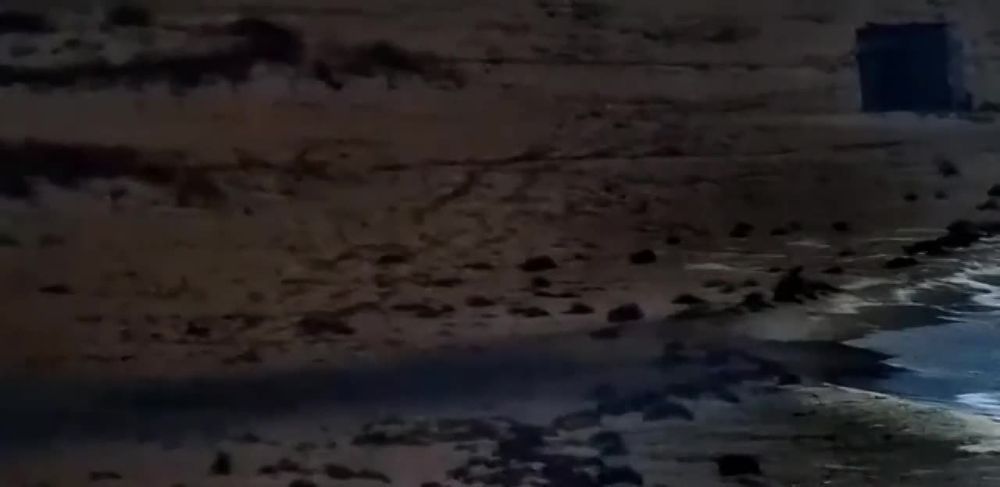 � ������ (�������� �������) �������� ����, ������� �������� � ���������