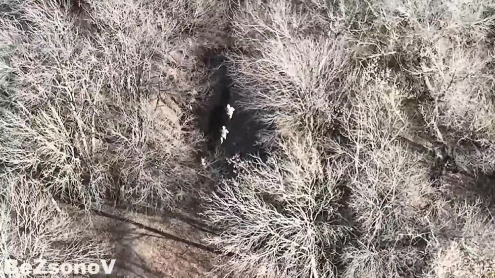 �������� ������������� ���� "����������" (������ ����� �� ����� ��������� �������), � ����� �������� ����� ����, ������� ��� ������