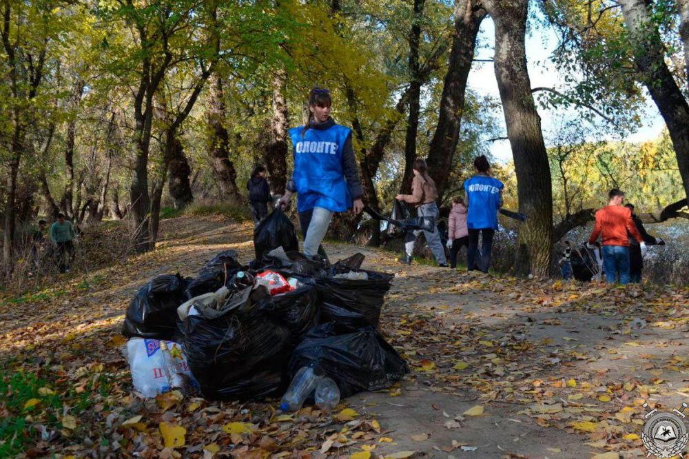 ������� ����� � �����!. ������������� ����������� �������� �������� ��������� ��������������� �������� ��� ������ ������� ���. ��������, �������� � ������������� ������������ ���� ������� ��������� ������� � �����������