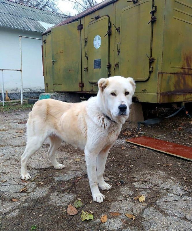 ������� ���� ������ ������ ������