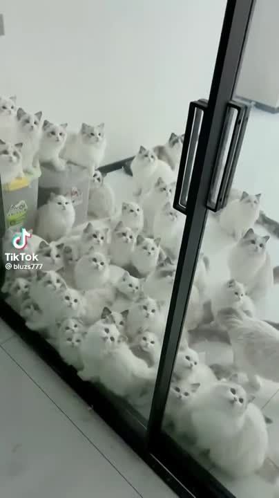 ��� �������� ��������� �� ���� ������� �������������, ��� ���� ������ �������, �� ��