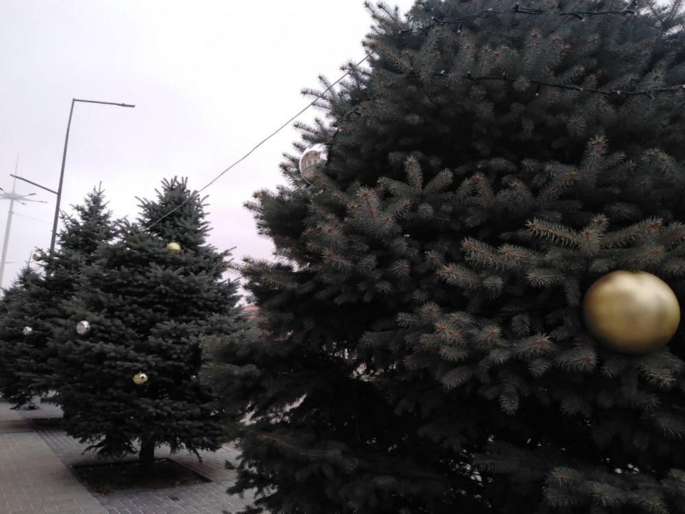 ����� ��������� ��������� ����� ���. �������� ��������� ������� �� ������� �������, ��� ��� ����������� ���������� ��������� - ����