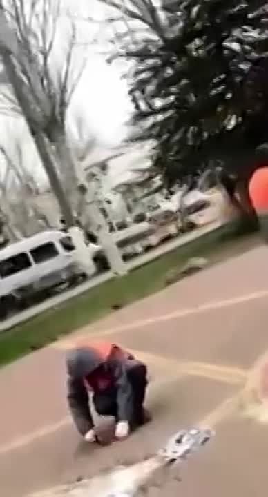 � ���������� ����������� ������ ������� �������� ������������ ���������� ���������� �������-���������� ��� ���� ����� �����������