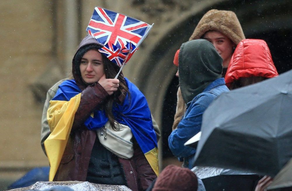 �������� ������ ����������