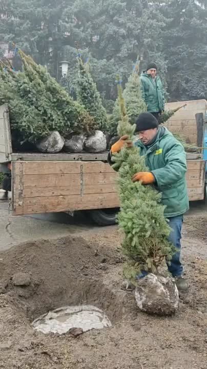 21 ��� ������� �������� ������