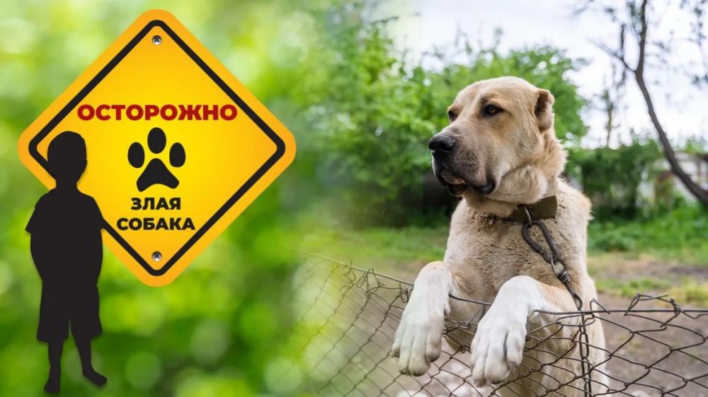 ������ ����� �� ������