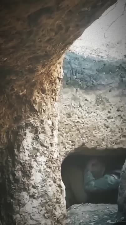 ���� ������� ���, ��� ����� ���� ��������� �� ����� �������� �� ���