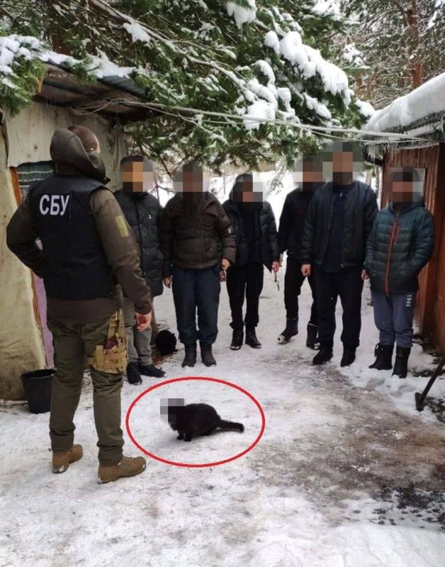 ��� �� ����� ������� � ����� �� ���������� ������� ����� ����������� � ������