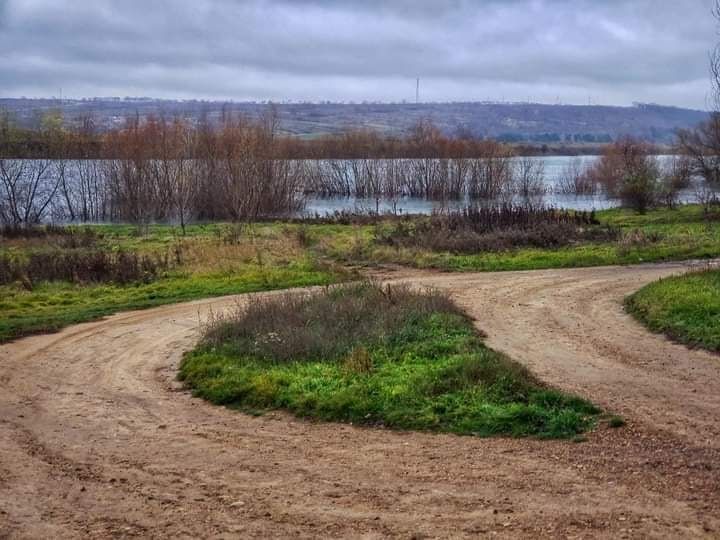 ���������. ������. ��������. ����