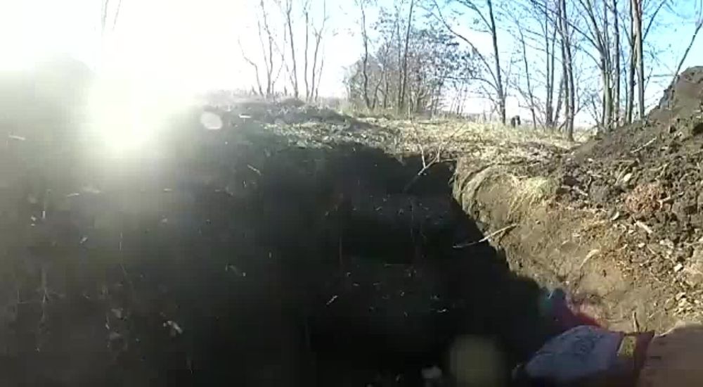 ������ ��������������� ������� �� �������� �������� ��������� ��� ��������