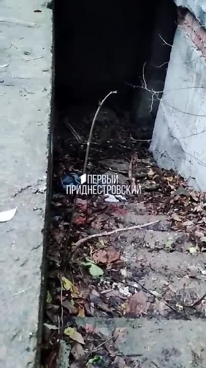 ������ ���� 15-� �����. ����� ������� ����� ���� �������� ����������