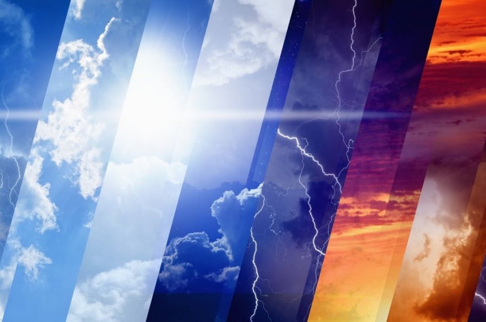 ������. 8 ������� �� ���������� ����� ��� ���� ����� ������� ��������