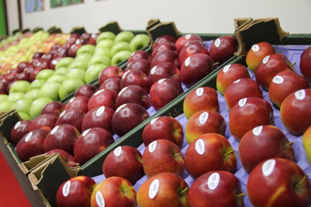 ������������ ��������� ������������ �������������� ������� ������������ �������� ����� � ������, ������� ����, ��� � �� ������� ���� ����� ��� ��������� ��������������, ����� ���-������� ��� ����