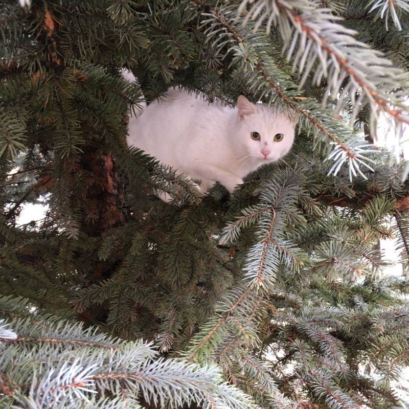 ����� ��� ������������. � ���� ������� ������ ���� - ���. ������, � ������ �� �����, � ������