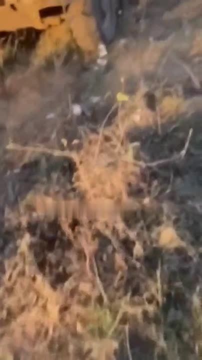 ���������� ������ �������� �������� � ���������� ������� �777, � ������ ��� � ��� ����� �������� ��� ����� �� ���������