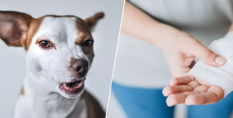 �� ������ �� �������� ���������� 72 ��������