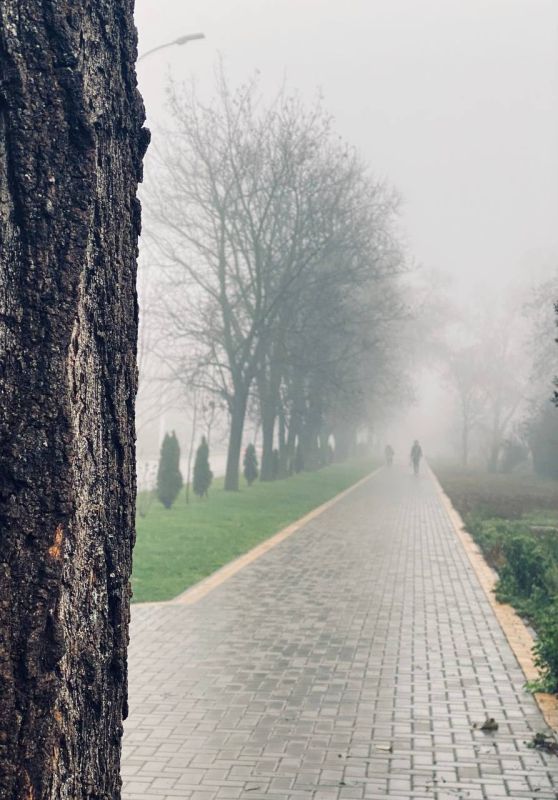 �� ����� � �����. ��������� 200-500�. ������ ���������