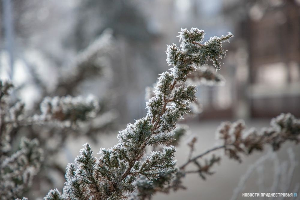 ��������� ���������� �������� ��������