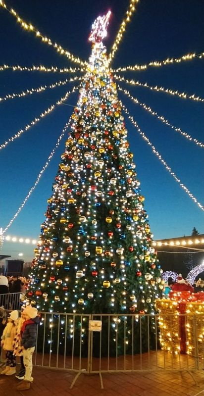 � ������ �������� ������ ���� �� ���������� ����