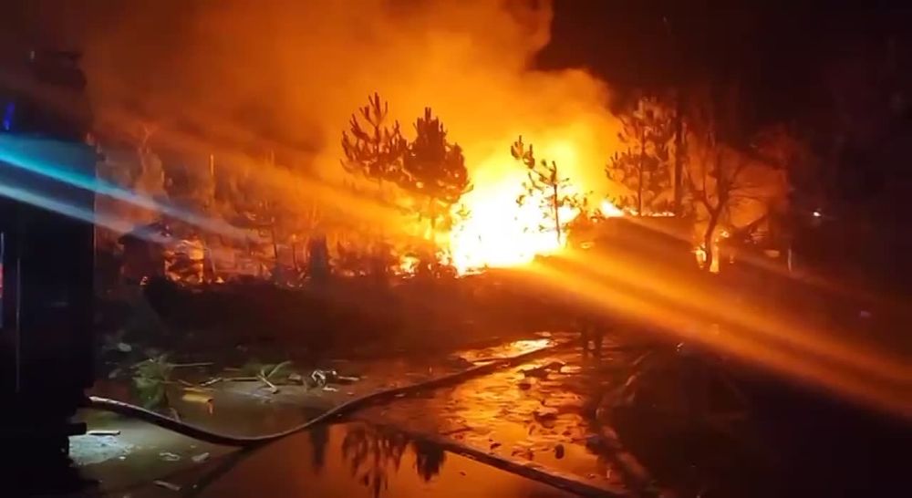 ���� ����������� ��������: ������������ �������� ���� ������ � ���������� ��������� ���������, ���������� 10 �������