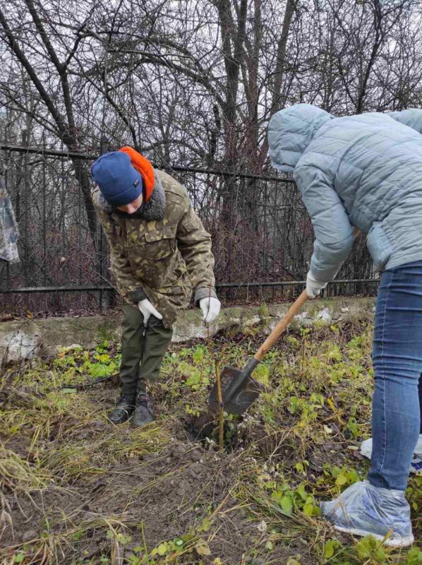 � ����������� ������� ������� ������ �������