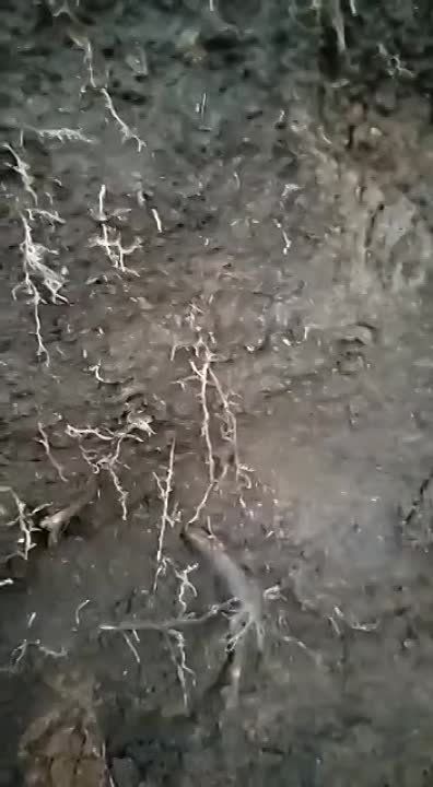 ������, ������� � �������� ������ ��� �����, �������� ����� � ��� ��� ���. ����� ��� ����� �� ����� ��������� � ��� ��� �������