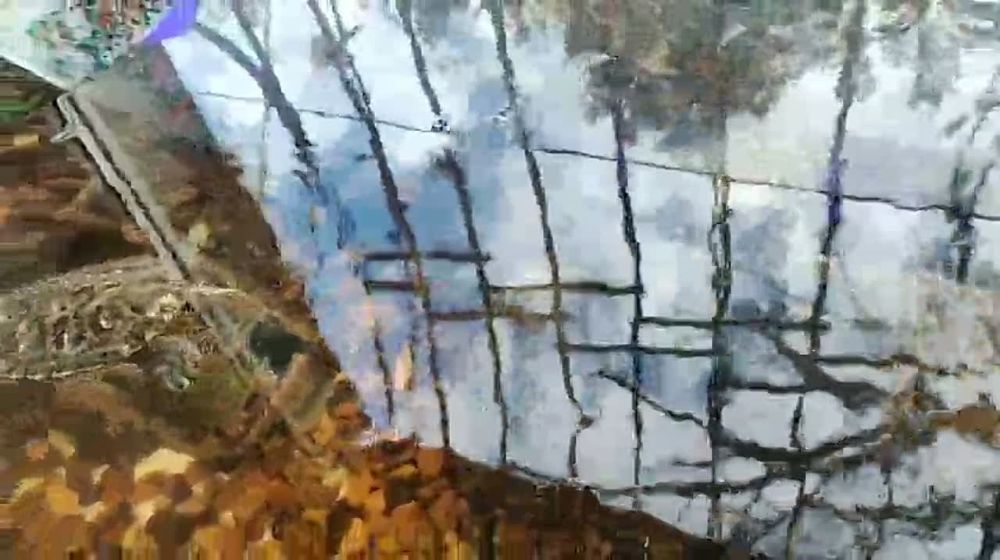 ������������ �����������