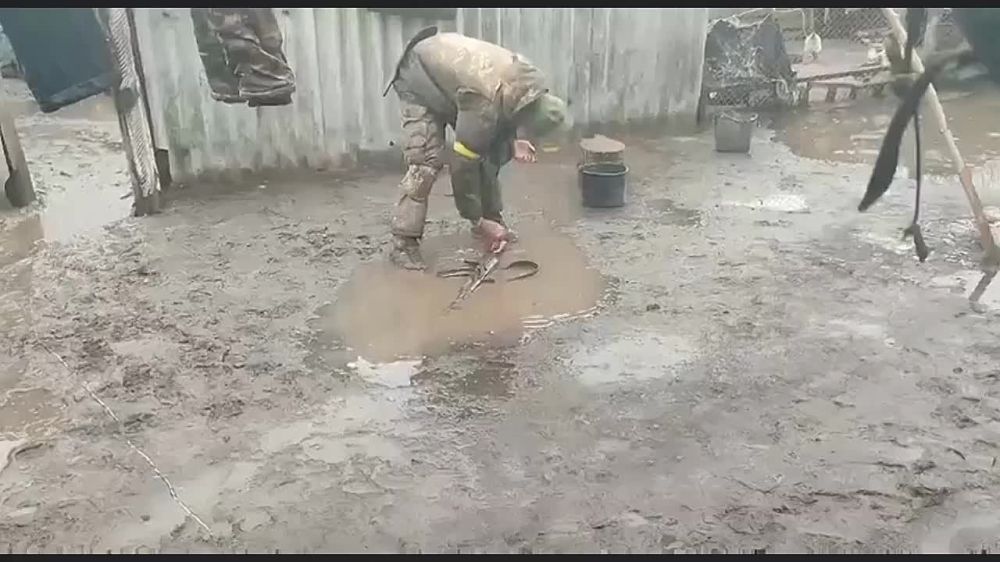 �������� � ������ ����� � �����, ���� � �����, ���� � ����� � ������ ������ ���� � �����