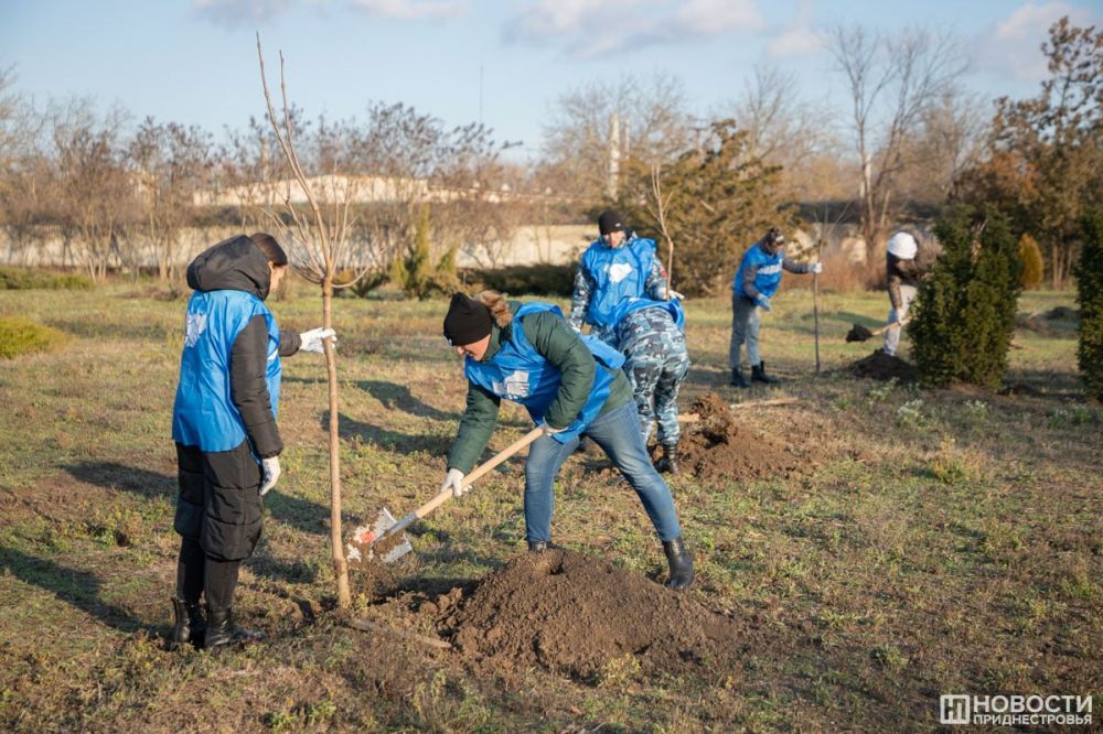 22 ���������� �������� �������� �������� � ������������� ���������������� ��������������� � ������������ ���� ���. ����� ����� ��������� ��� ��������, ������� �������� �� ������� ������, 5 �������