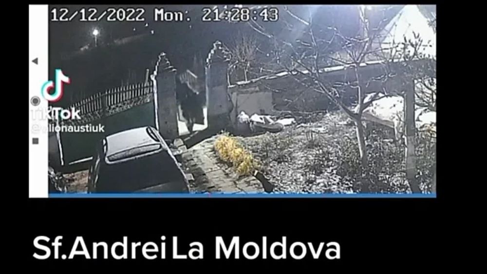 ��� ���� ����� ����� ������� ����� ������ � �������� � �������