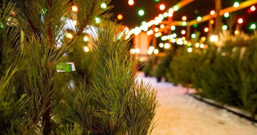 ������ ���������� �������