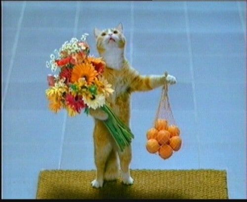 ���������� ������ ��������� ������� �� �������� �� �����