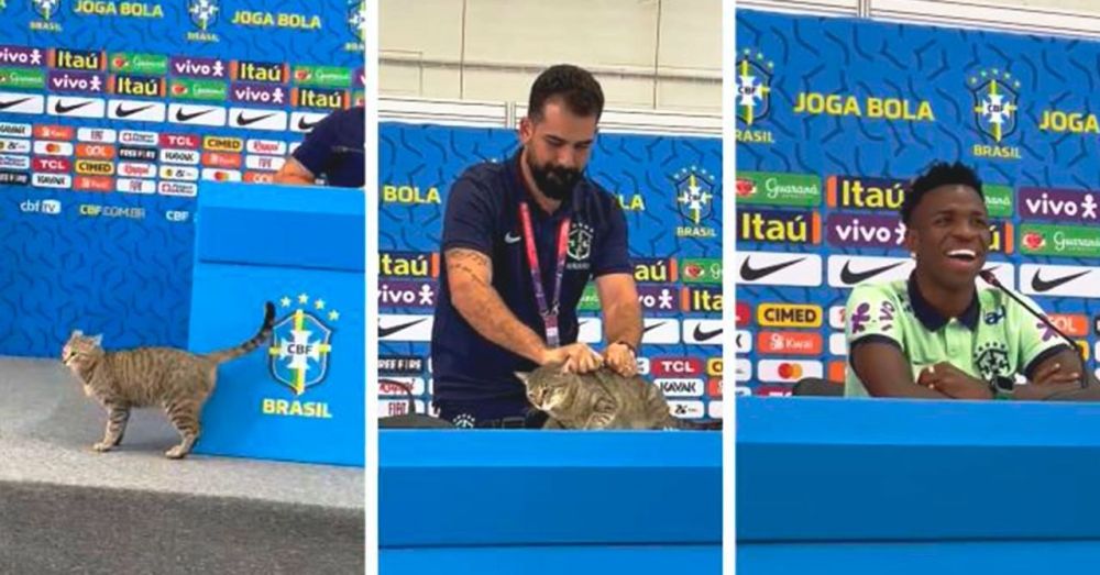 ����������� ������������ ������� ���������� ��� �� 200 000 �������� ��-�� �������� � ����� �� �����-�����������