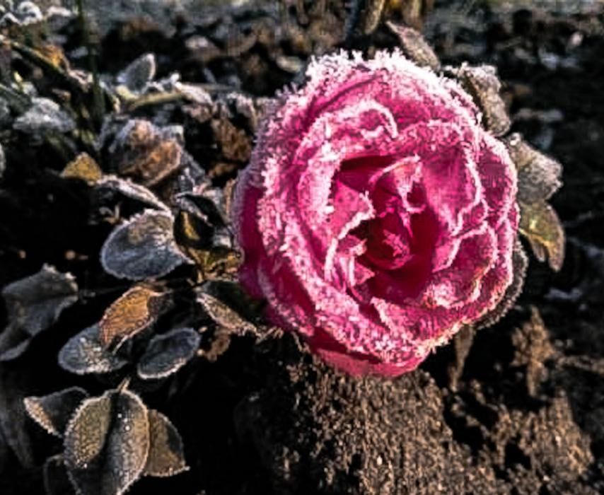 �������� ������� �� ������