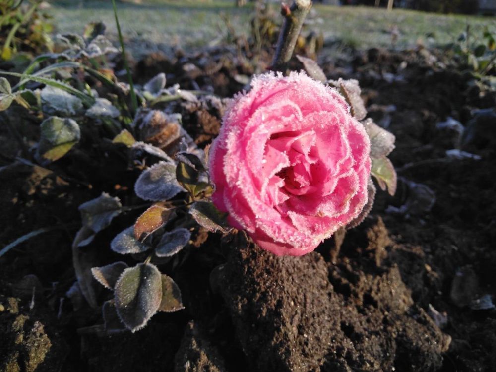 ����� �� ����, �� ������ ����� ������� ����������� � ����: ��������� ���� � ������ �������� �����