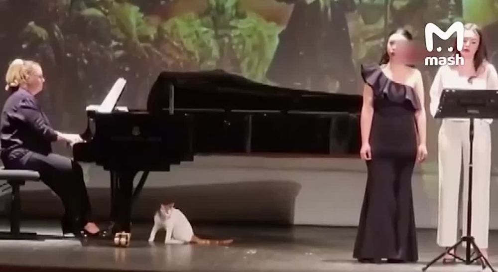 ��� ����� �� ����� ������������ �����, ����� �������� ������ ������ ��������