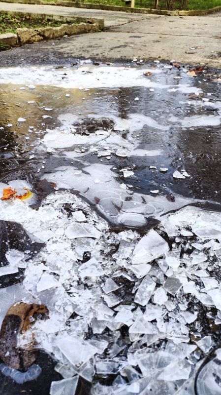 �������� �����, � �� � ����� ��� �� �������, ������ ���������