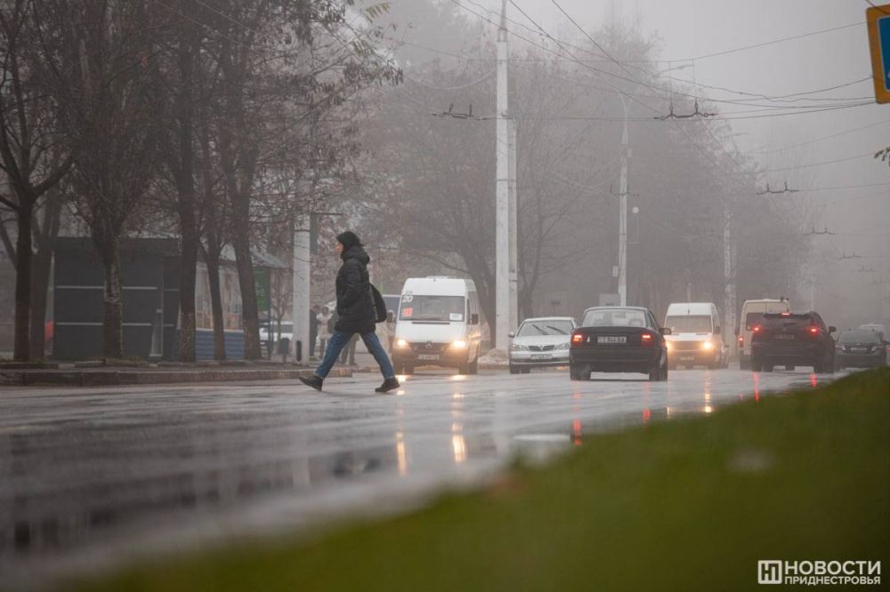 �������������: ����� � ����� 15 ������� ��������� ������� ����� � ����������