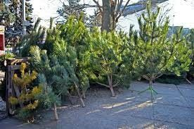 ������� ������: ������� � ���������