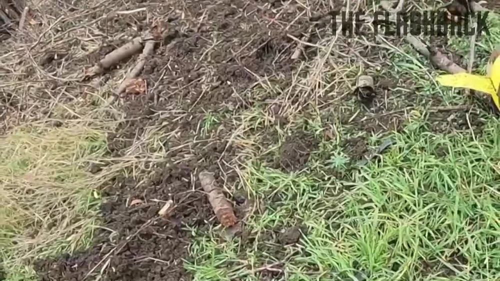 ����������� ����� � ������������ �����������