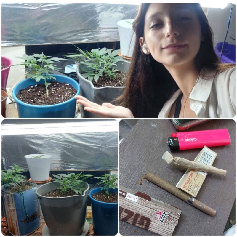 � �������� 15-������ ������� ���������� ���� �������