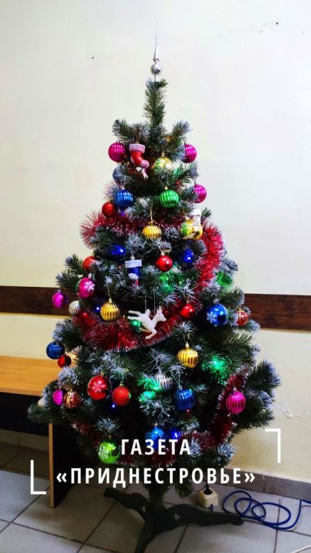 � ����� ����� �������� ��������� ����� ���������