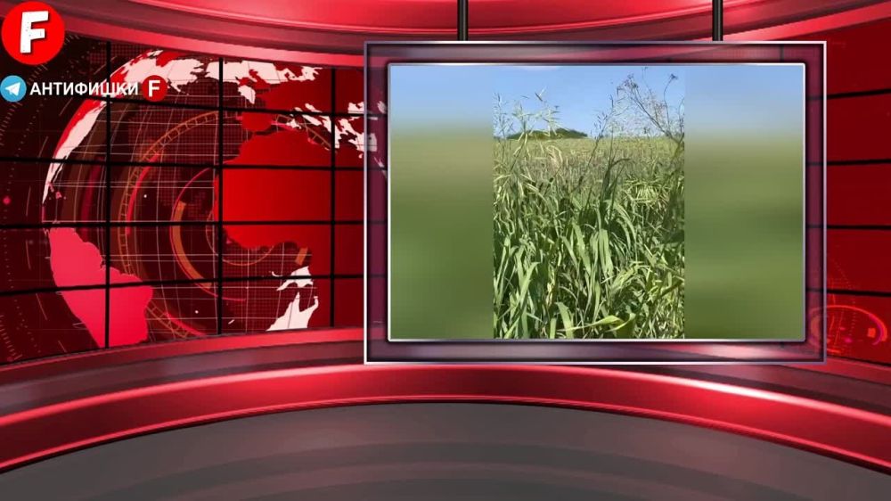 ��������� news - ��� ����������� ������ ��������