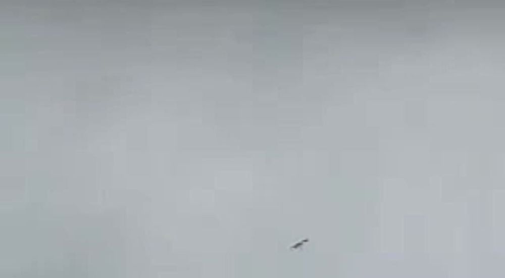 � ������� ����� ����� 60 �����, � ����� ������������ ��� ������� ���