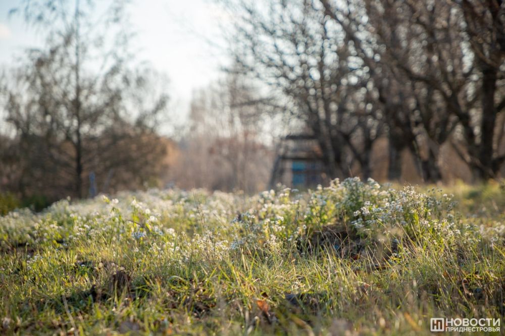 ���������� ������� �� ��������� ������ ����������