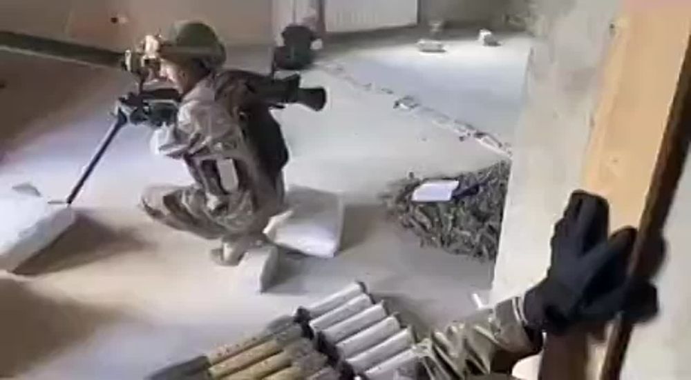 ������ ��� � IQ ���� ������ ��������� ����������� �������� ������� �� ����������� ��� � ��������� � ���� �� ����� �� ����������� �������