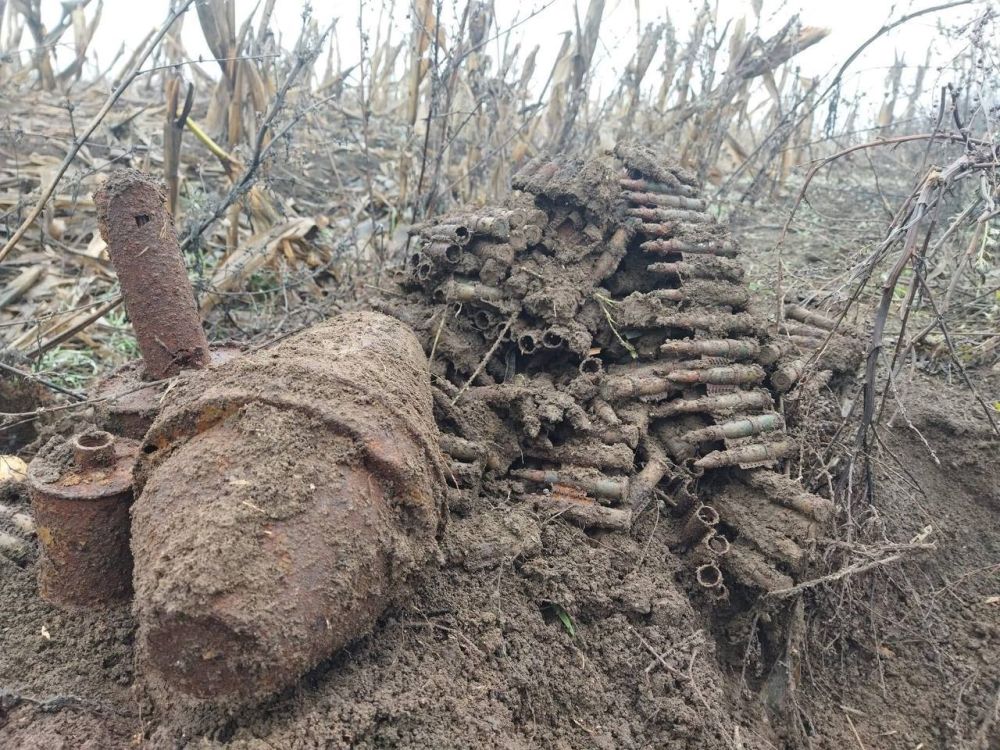 ����������� ����� � ���� ������������